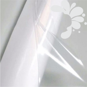 Adesivo Transparente Impresso Transparente  4x0 Brilho Sem acabamento 